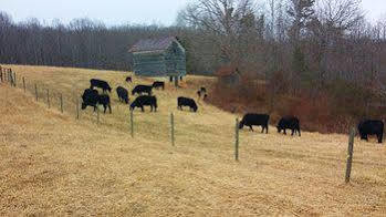 Wolf Creek Farm And Motorcycle Manor At Wolf Creek Farm, Llc Frühstückspension 5*