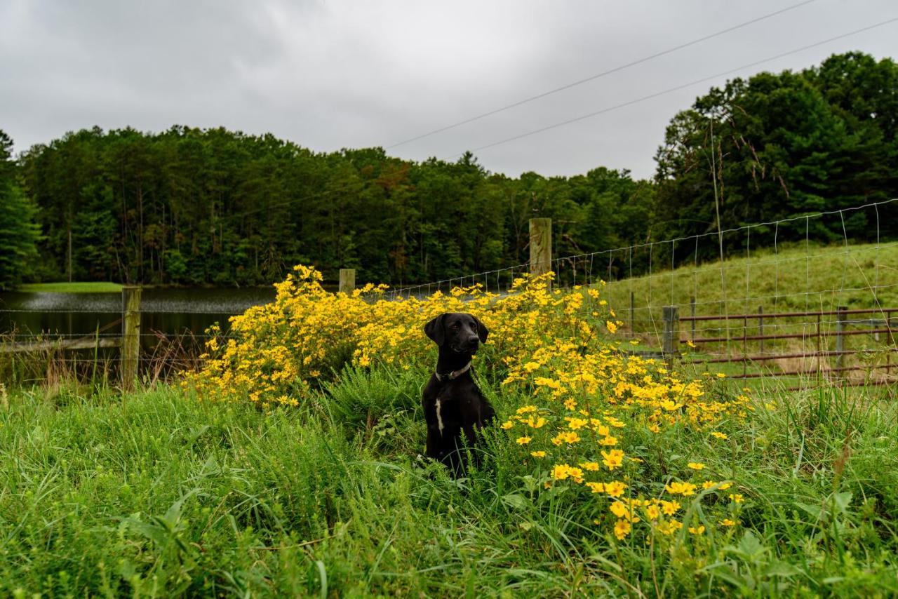 Wolf Creek Farm And Motorcycle Manor At Wolf Creek Farm, Llc Frühstückspension 5*